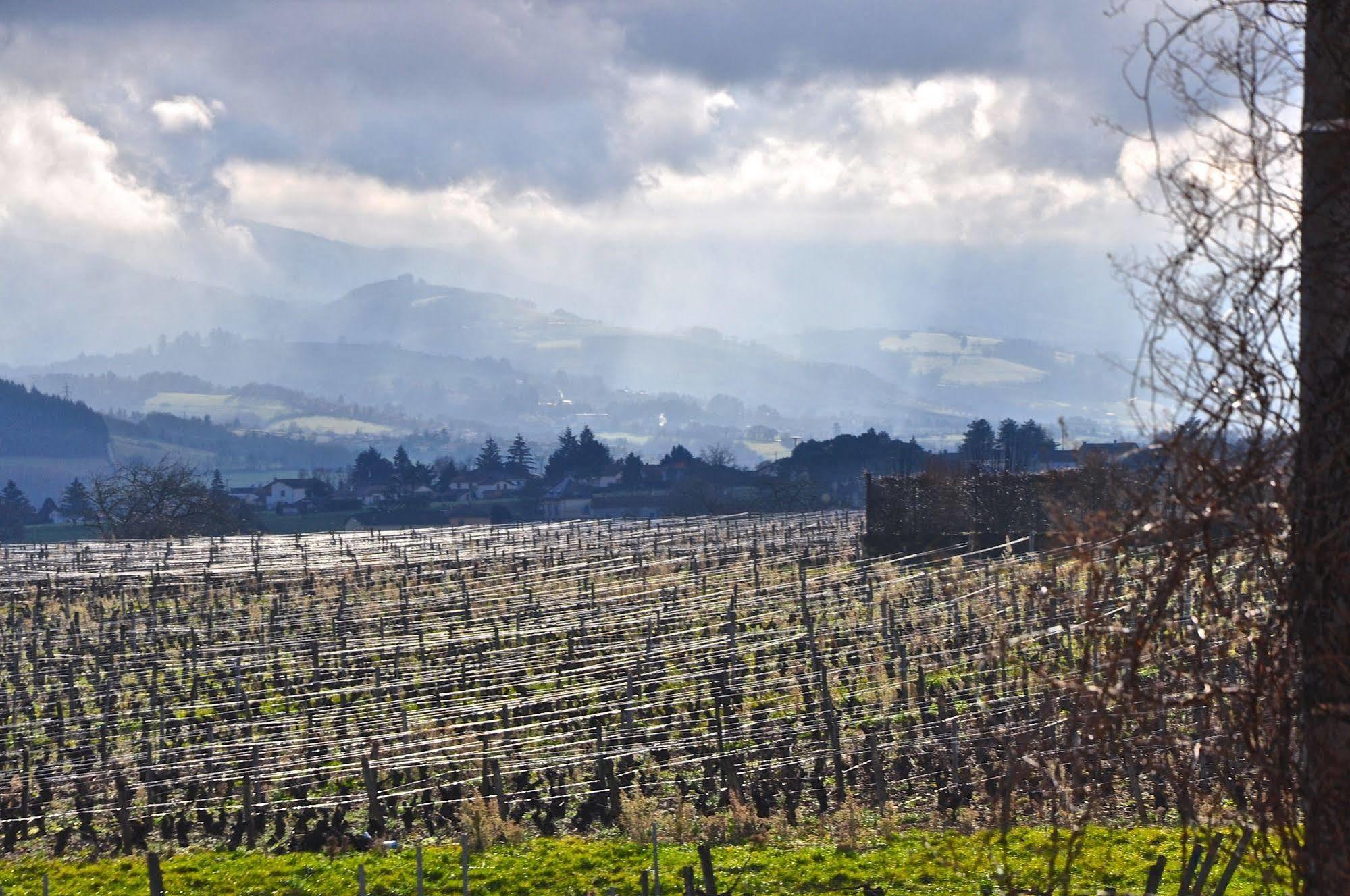 Le Clos Du Cher En Beaujolais Saint-Germain-Nuelles Exterior foto