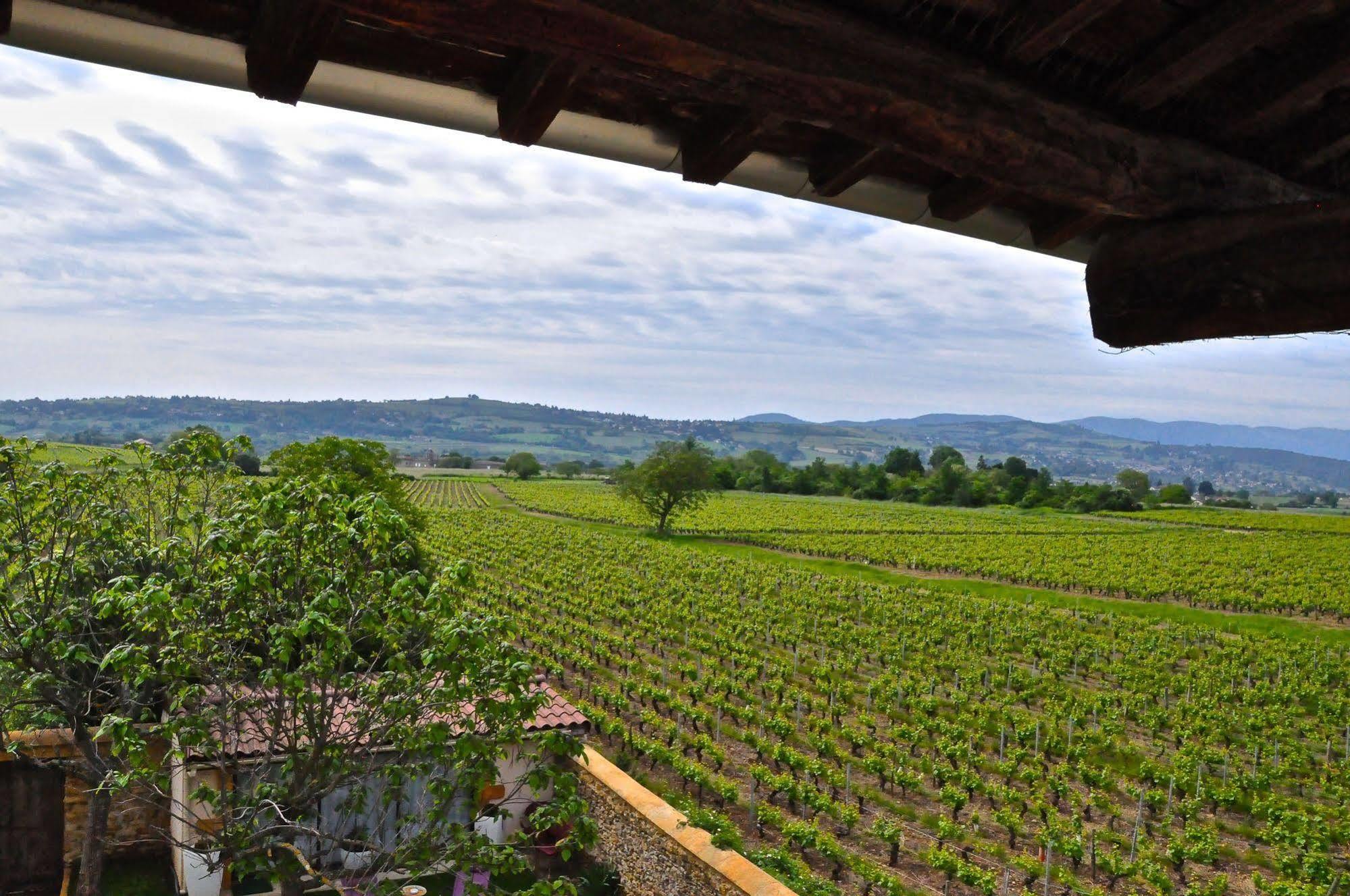 Le Clos Du Cher En Beaujolais Saint-Germain-Nuelles Exterior foto