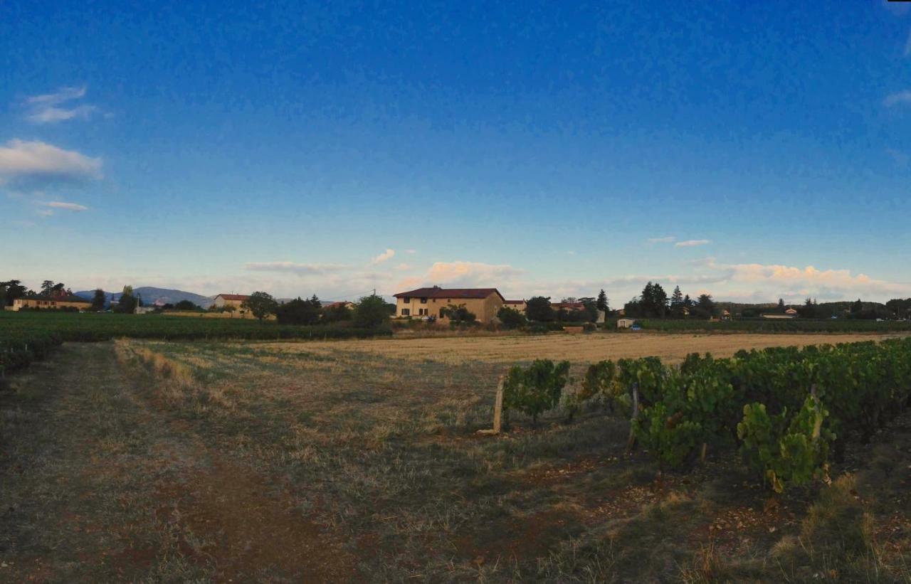 Le Clos Du Cher En Beaujolais Saint-Germain-Nuelles Exterior foto